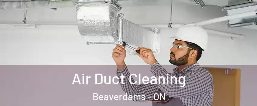  Air Duct Cleaning Beaverdams - ON