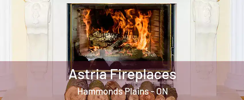  Astria Fireplaces Hammonds Plains - ON