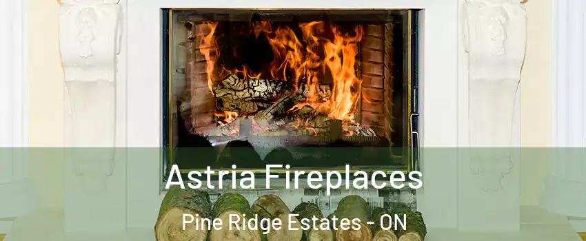  Astria Fireplaces Pine Ridge Estates - ON