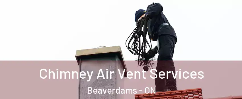  Chimney Air Vent Services Beaverdams - ON