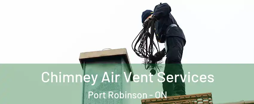  Chimney Air Vent Services Port Robinson - ON