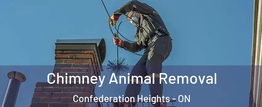  Chimney Animal Removal Confederation Heights - ON