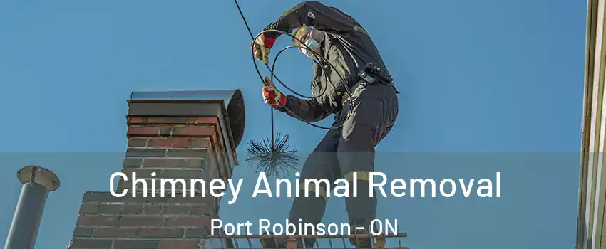  Chimney Animal Removal Port Robinson - ON