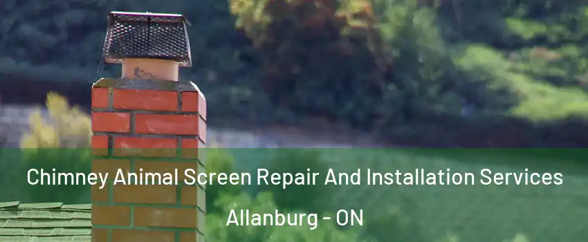  Chimney Animal Screen Repair And Installation Services Allanburg - ON