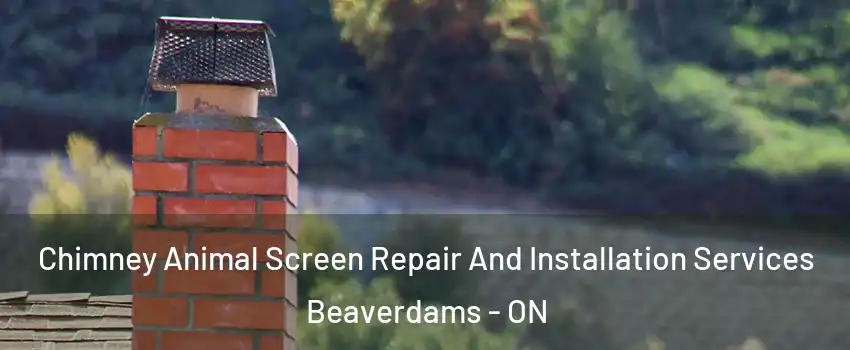  Chimney Animal Screen Repair And Installation Services Beaverdams - ON