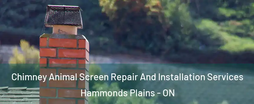  Chimney Animal Screen Repair And Installation Services Hammonds Plains - ON