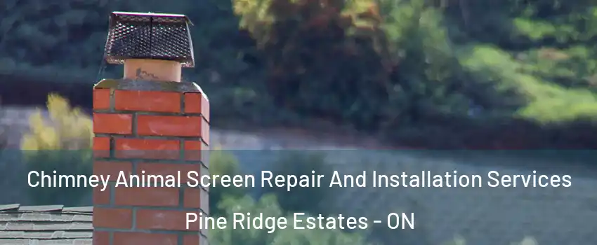  Chimney Animal Screen Repair And Installation Services Pine Ridge Estates - ON
