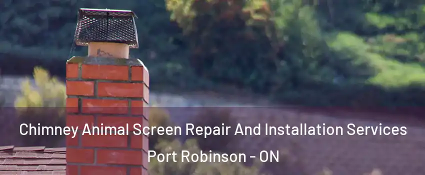  Chimney Animal Screen Repair And Installation Services Port Robinson - ON