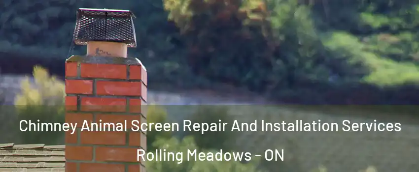  Chimney Animal Screen Repair And Installation Services Rolling Meadows - ON