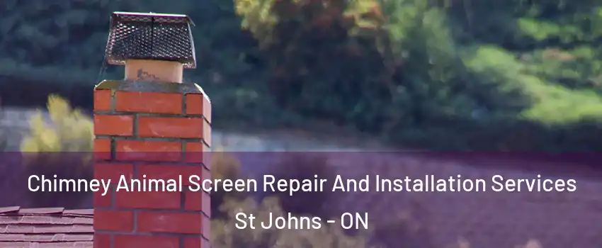  Chimney Animal Screen Repair And Installation Services St Johns - ON