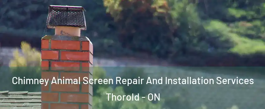  Chimney Animal Screen Repair And Installation Services Thorold - ON