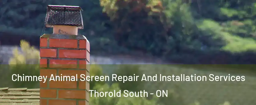 Chimney Animal Screen Repair And Installation Services Thorold South - ON