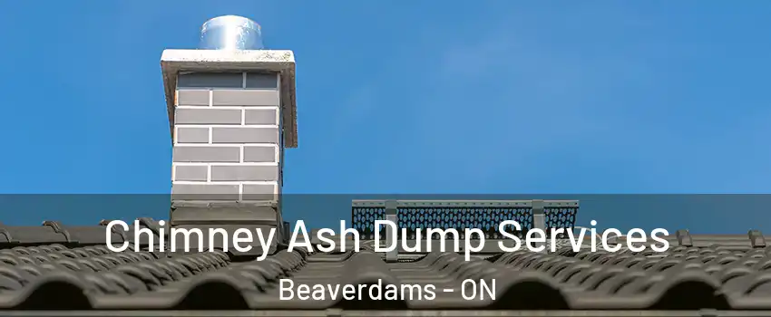  Chimney Ash Dump Services Beaverdams - ON