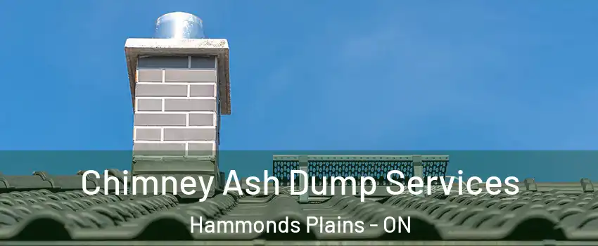  Chimney Ash Dump Services Hammonds Plains - ON