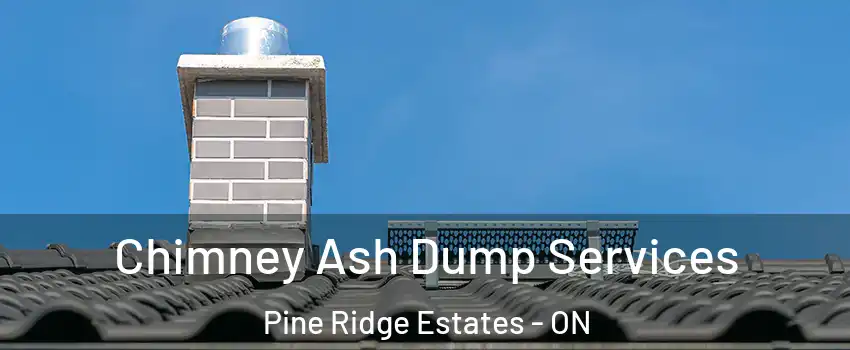  Chimney Ash Dump Services Pine Ridge Estates - ON