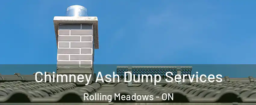  Chimney Ash Dump Services Rolling Meadows - ON