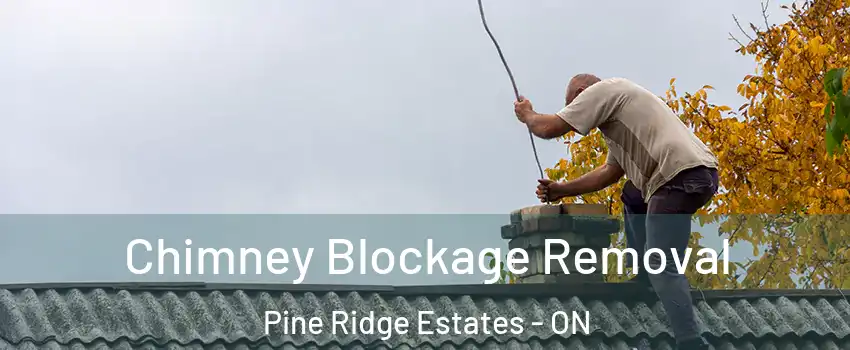 Chimney Blockage Removal Pine Ridge Estates - ON