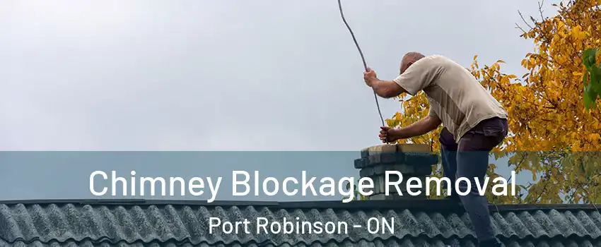  Chimney Blockage Removal Port Robinson - ON