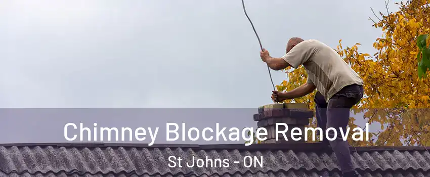  Chimney Blockage Removal St Johns - ON