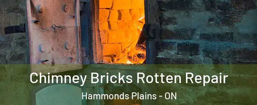 Chimney Bricks Rotten Repair Hammonds Plains - ON