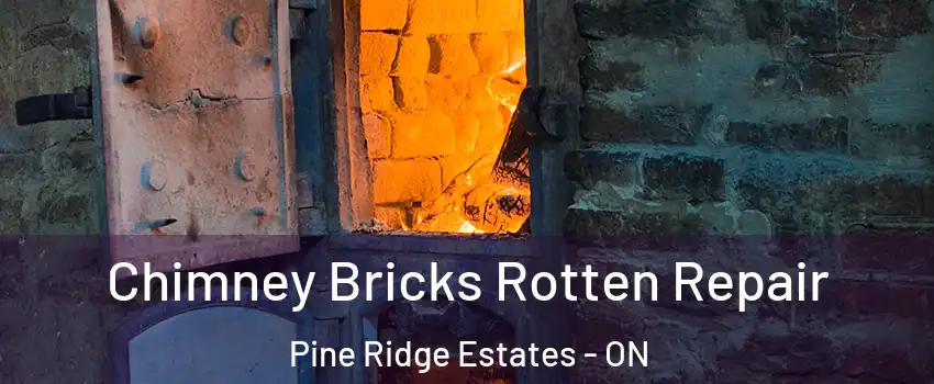  Chimney Bricks Rotten Repair Pine Ridge Estates - ON