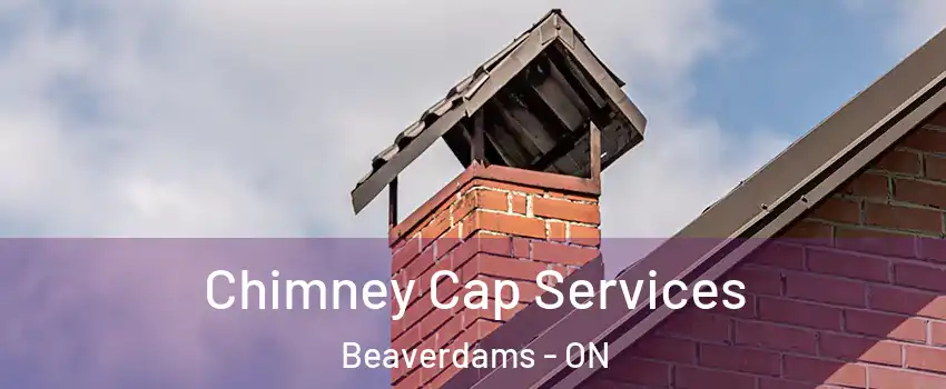  Chimney Cap Services Beaverdams - ON