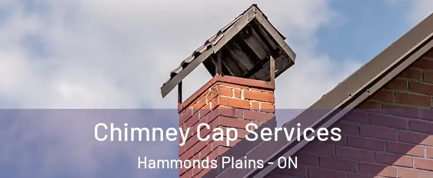  Chimney Cap Services Hammonds Plains - ON