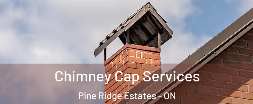  Chimney Cap Services Pine Ridge Estates - ON
