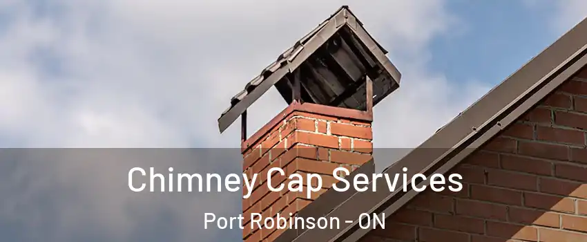  Chimney Cap Services Port Robinson - ON