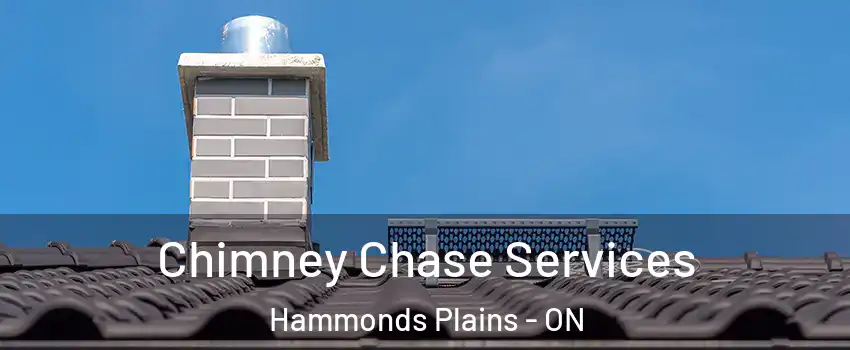  Chimney Chase Services Hammonds Plains - ON