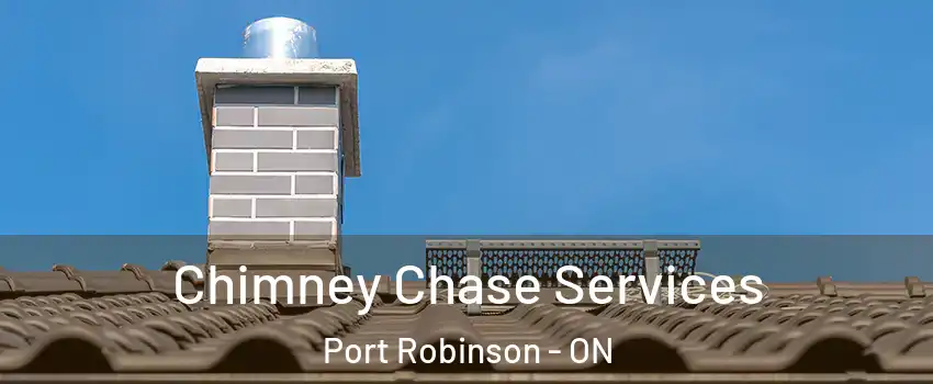  Chimney Chase Services Port Robinson - ON