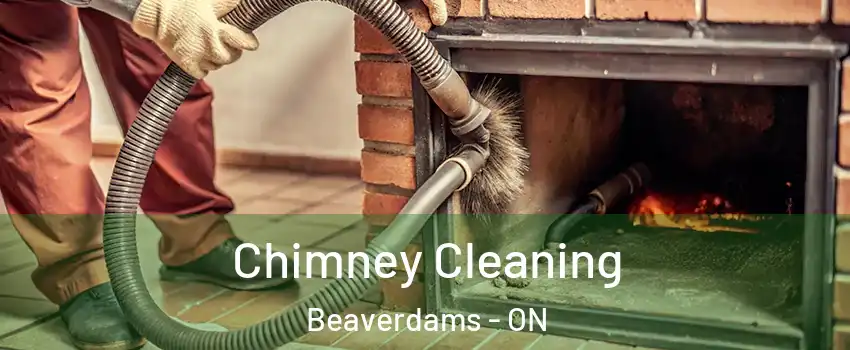  Chimney Cleaning Beaverdams - ON