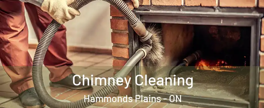  Chimney Cleaning Hammonds Plains - ON
