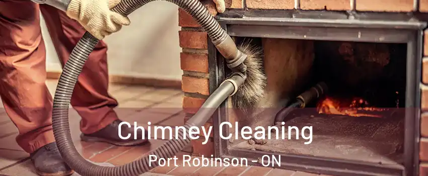  Chimney Cleaning Port Robinson - ON