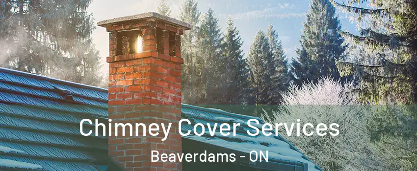  Chimney Cover Services Beaverdams - ON