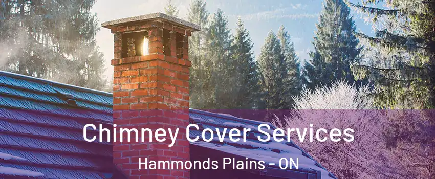  Chimney Cover Services Hammonds Plains - ON