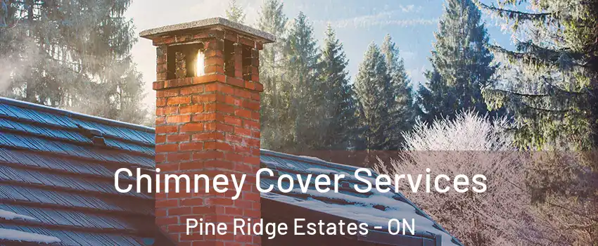  Chimney Cover Services Pine Ridge Estates - ON