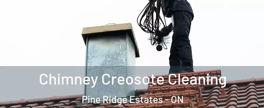 Chimney Creosote Cleaning Pine Ridge Estates - ON