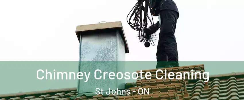  Chimney Creosote Cleaning St Johns - ON
