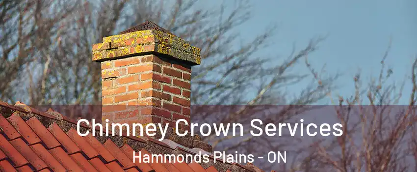  Chimney Crown Services Hammonds Plains - ON