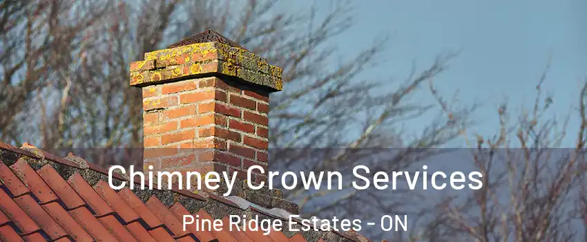  Chimney Crown Services Pine Ridge Estates - ON
