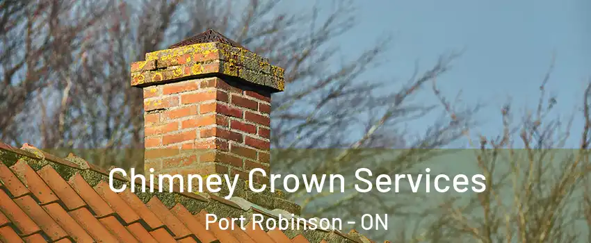  Chimney Crown Services Port Robinson - ON