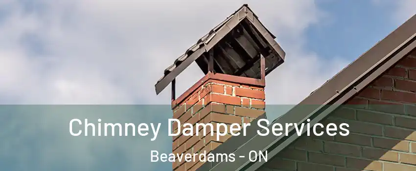  Chimney Damper Services Beaverdams - ON