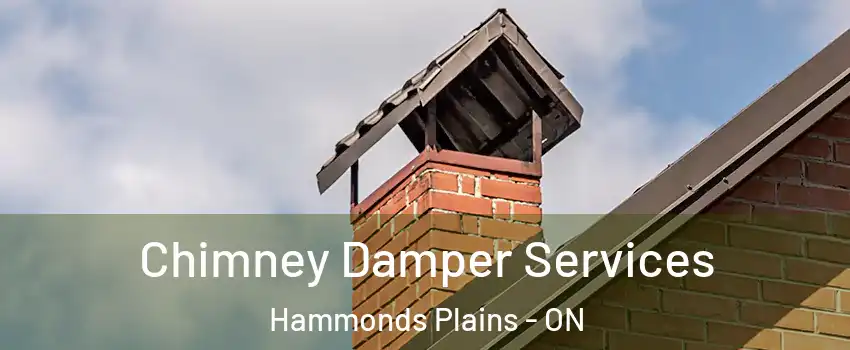  Chimney Damper Services Hammonds Plains - ON