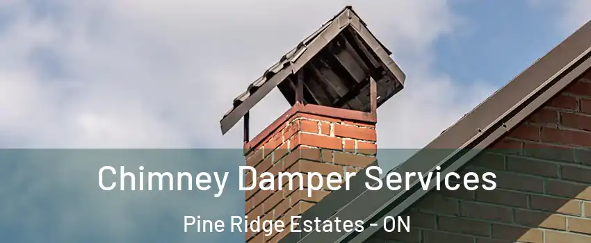  Chimney Damper Services Pine Ridge Estates - ON