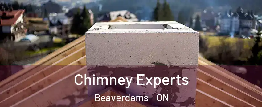  Chimney Experts Beaverdams - ON