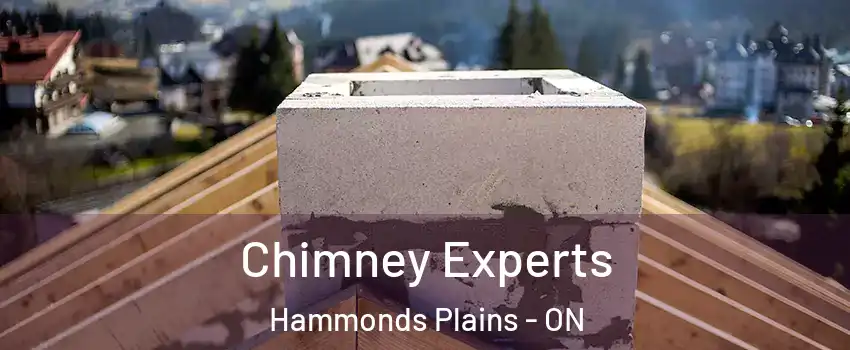  Chimney Experts Hammonds Plains - ON