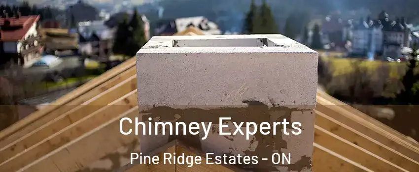  Chimney Experts Pine Ridge Estates - ON