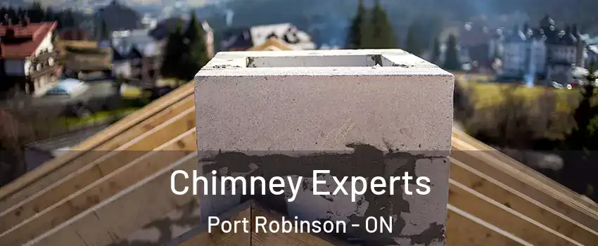  Chimney Experts Port Robinson - ON