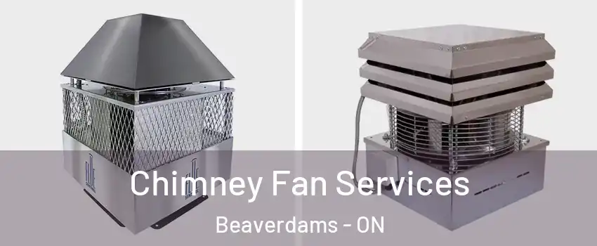  Chimney Fan Services Beaverdams - ON